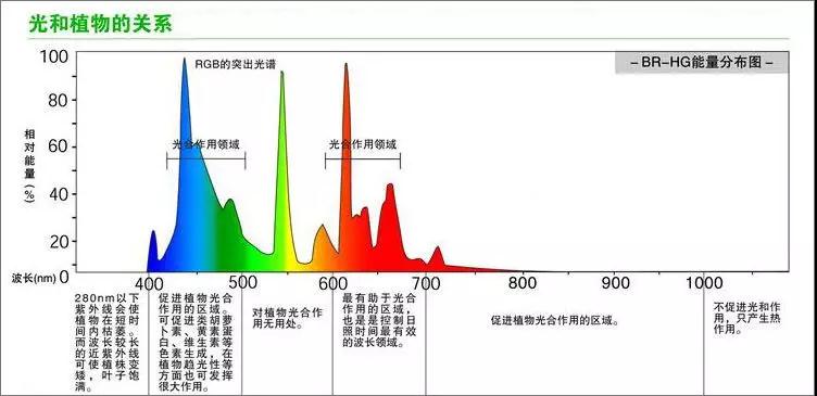 微信圖片3_20181114091224.jpg